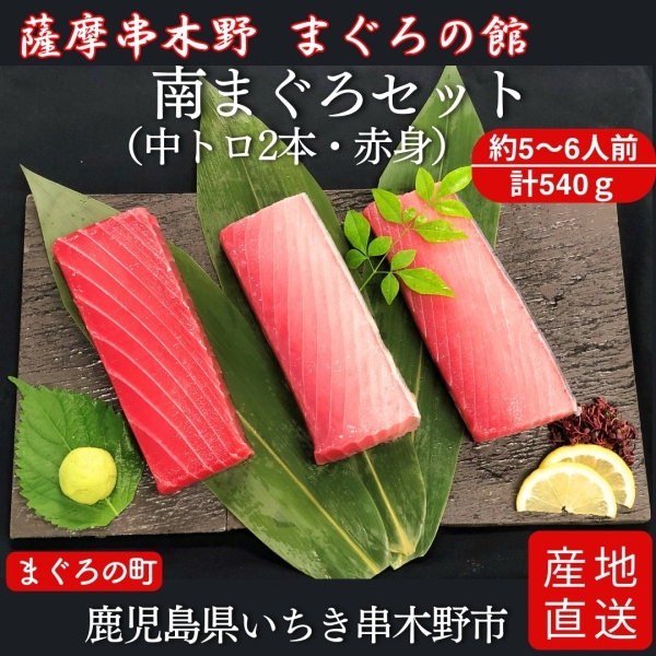 南まぐろセット（中トロ2本・赤身）