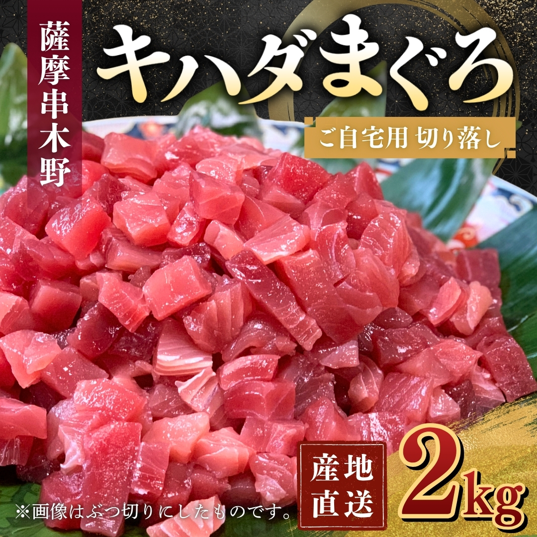【ご自宅用】キハダまぐろ切り落し（2㎏） 