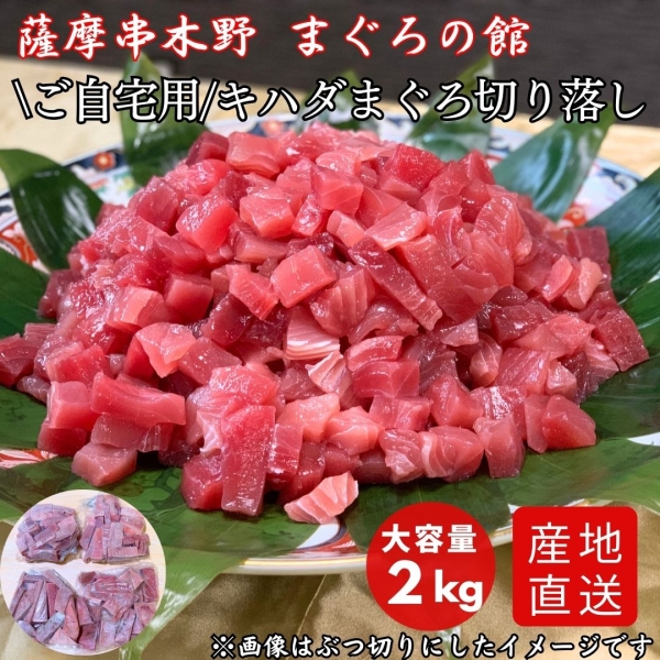 【ご自宅用】キハダまぐろ切り落し（2㎏）