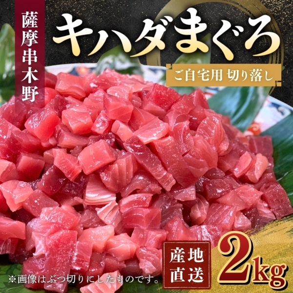 【ご自宅用】キハダまぐろ切り落し（2㎏）