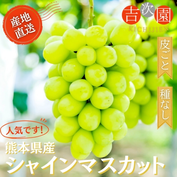 熊本県産シャインマスカット