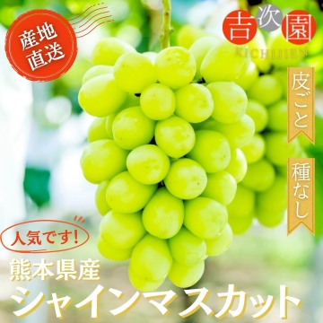 ○kotetsu様　シャインマスカット　4kg熊本 熊本県産シャインマスカット 観光農園 吉次園
