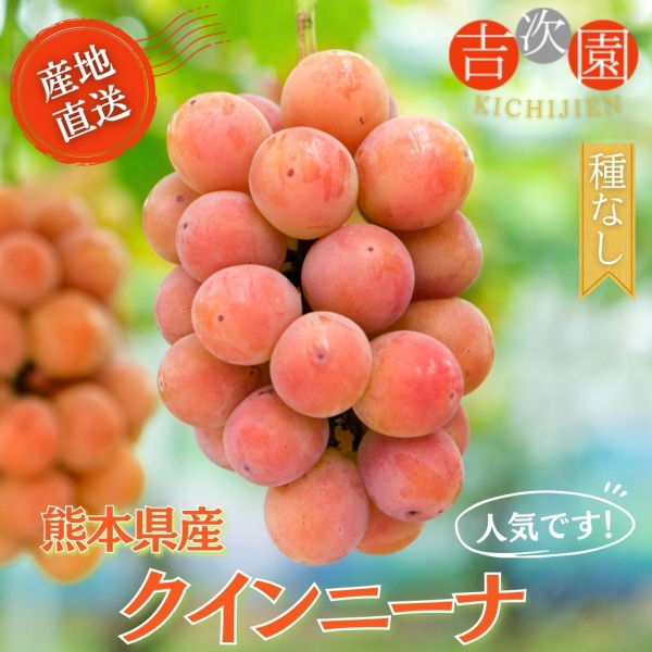 熊本県産クインニーナ