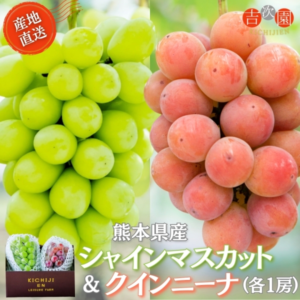 熊本県産シャインマスカット・クインニーナ