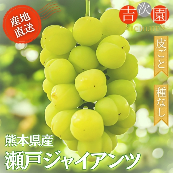 熊本県産瀬戸ジャイアンツ