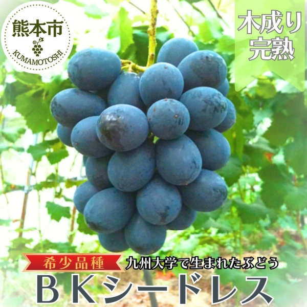 熊本県産BKシードレス