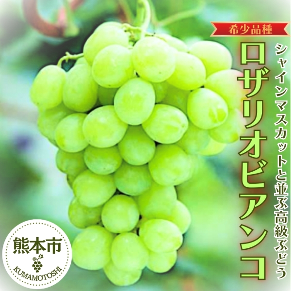 熊本県産ロザリオビアンコ