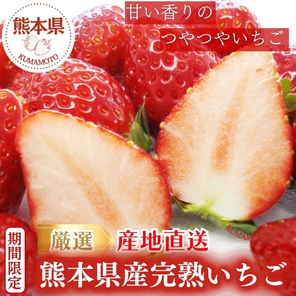 【期間限定】厳選！産地直送～熊本県産完熟いちご～
