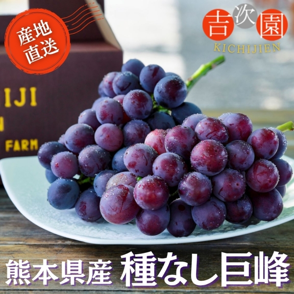 熊本県産 種なし巨峰 800g(2～3房)