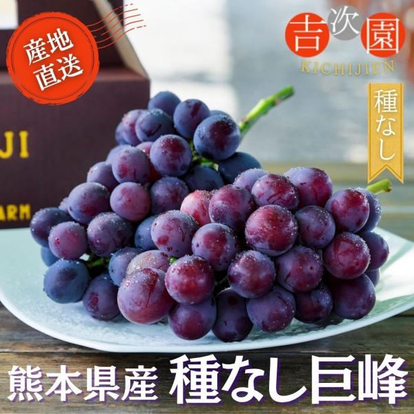 熊本県産 種なし巨峰 800g(2～3房)