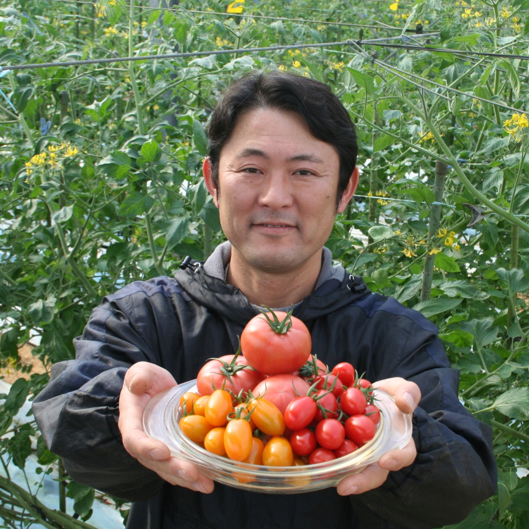 トマトん王子 北国からの贈り物 ミニトマト プチぷよトマト 紅の王女 1kg 埼玉