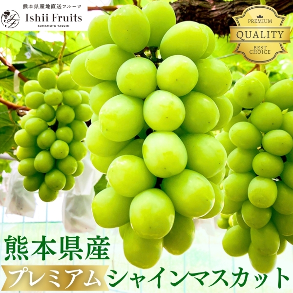 【熊本県産】プレミアムシャインマスカット
