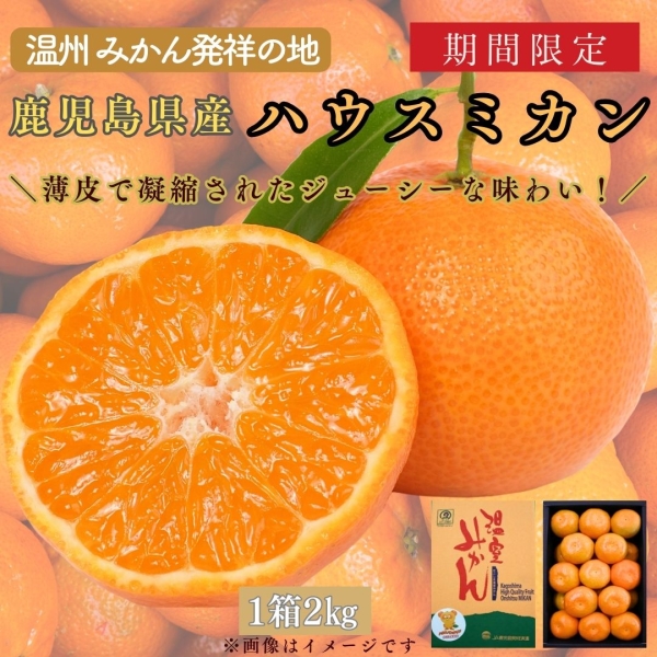 鹿児島県産ハウスミカン（2㎏）