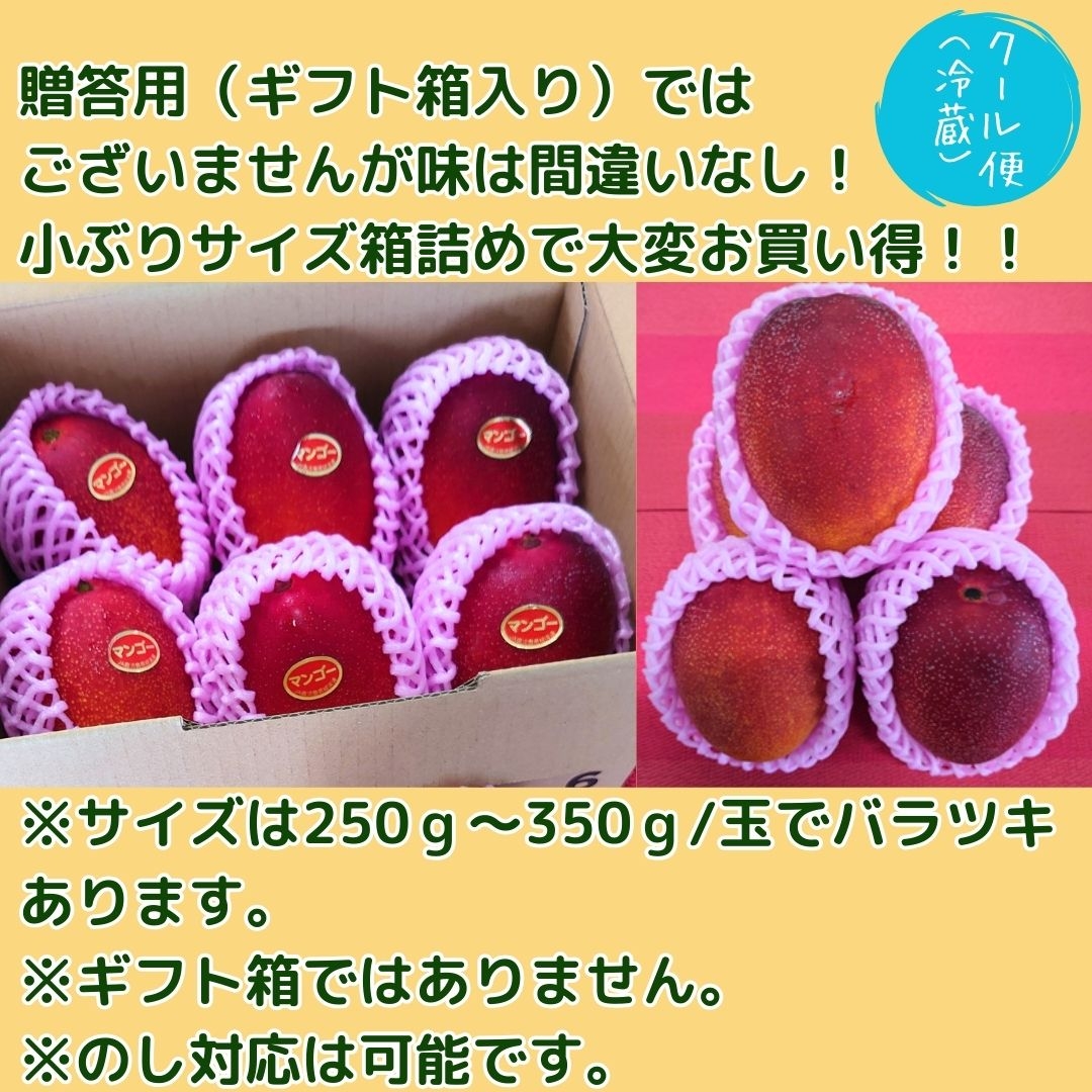 お買い得・自宅用】鹿児島県産完熟マンゴー（約1.5㎏：4～6玉