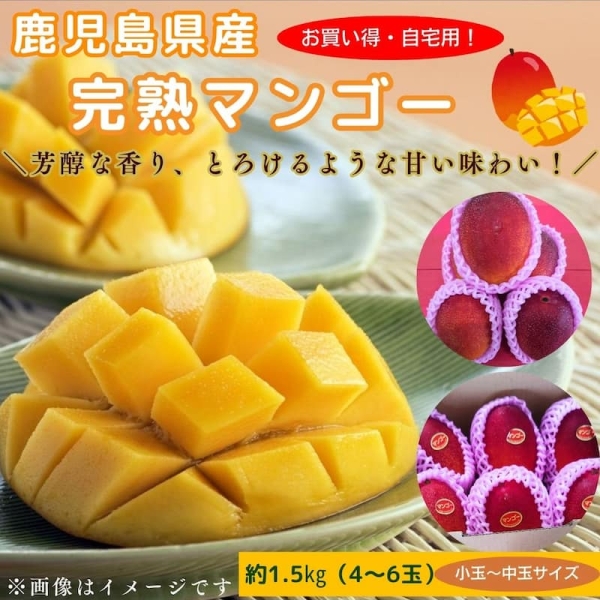 【お買い得・自宅用】鹿児島県産完熟マンゴー（約1.5㎏：4～6玉）