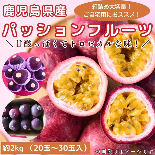 【お買い得・自宅用】鹿児島県産パッションフルーツ（2㎏：20～30玉）