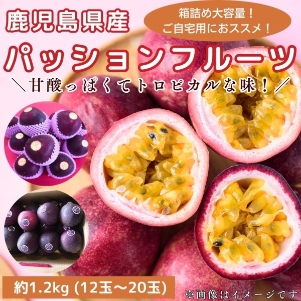 【お買い得・自宅用】鹿児島県産パッションフルーツ（1.2㎏：12～20玉）