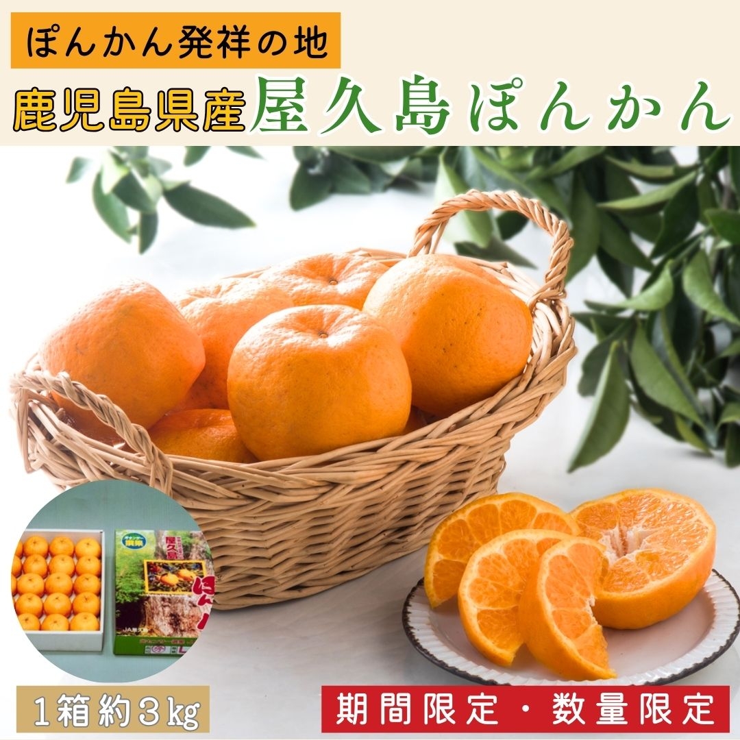 鹿児島県産】屋久島ぽんかん（3㎏） 浜田静雄商店