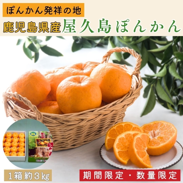 【鹿児島県産】屋久島ぽんかん（3㎏）