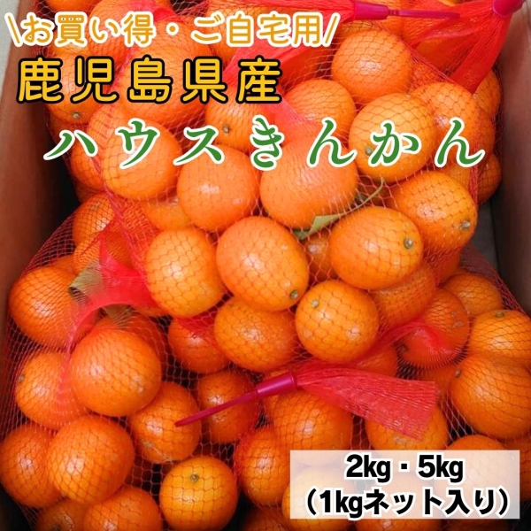 【お買い得・自宅用】鹿児島県産ハウスきんかん（2㎏・5㎏）