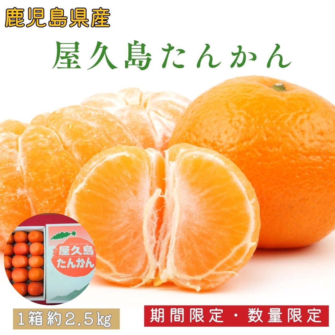 屋久島たんかん 浜田静雄商店