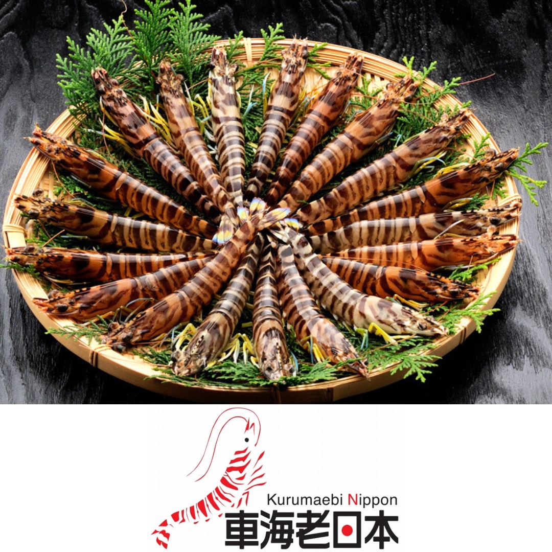 車海老日本