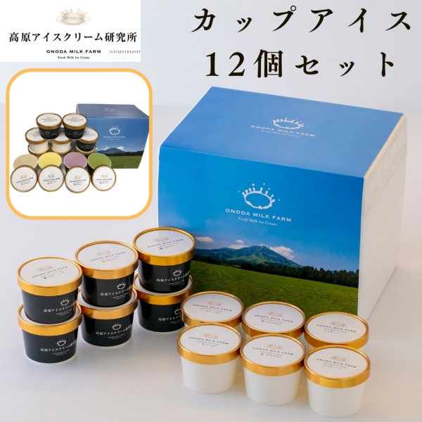 カップアイス12個セット