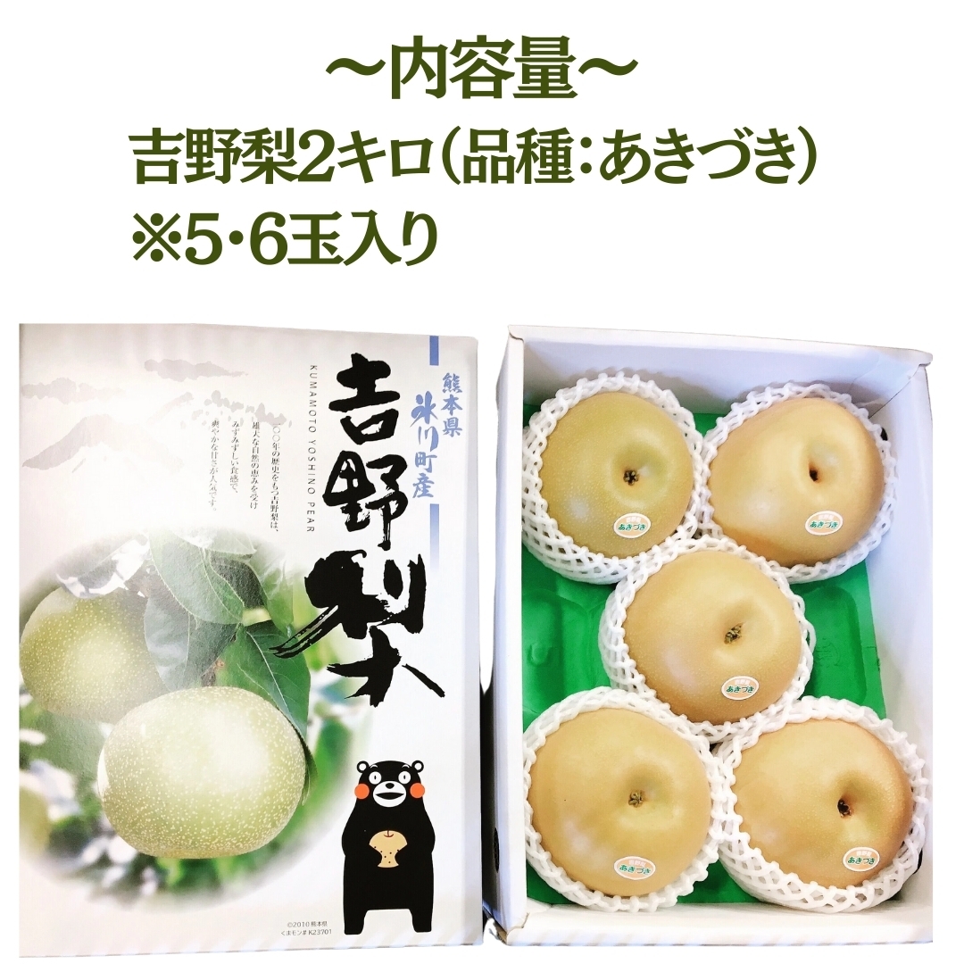 阿部盛有、『虹の郷』、希少画集より、状態良好、新品木製額・額装付 加山 又造、黒衣の裸婦、希少画集画、新品額装、状態良好