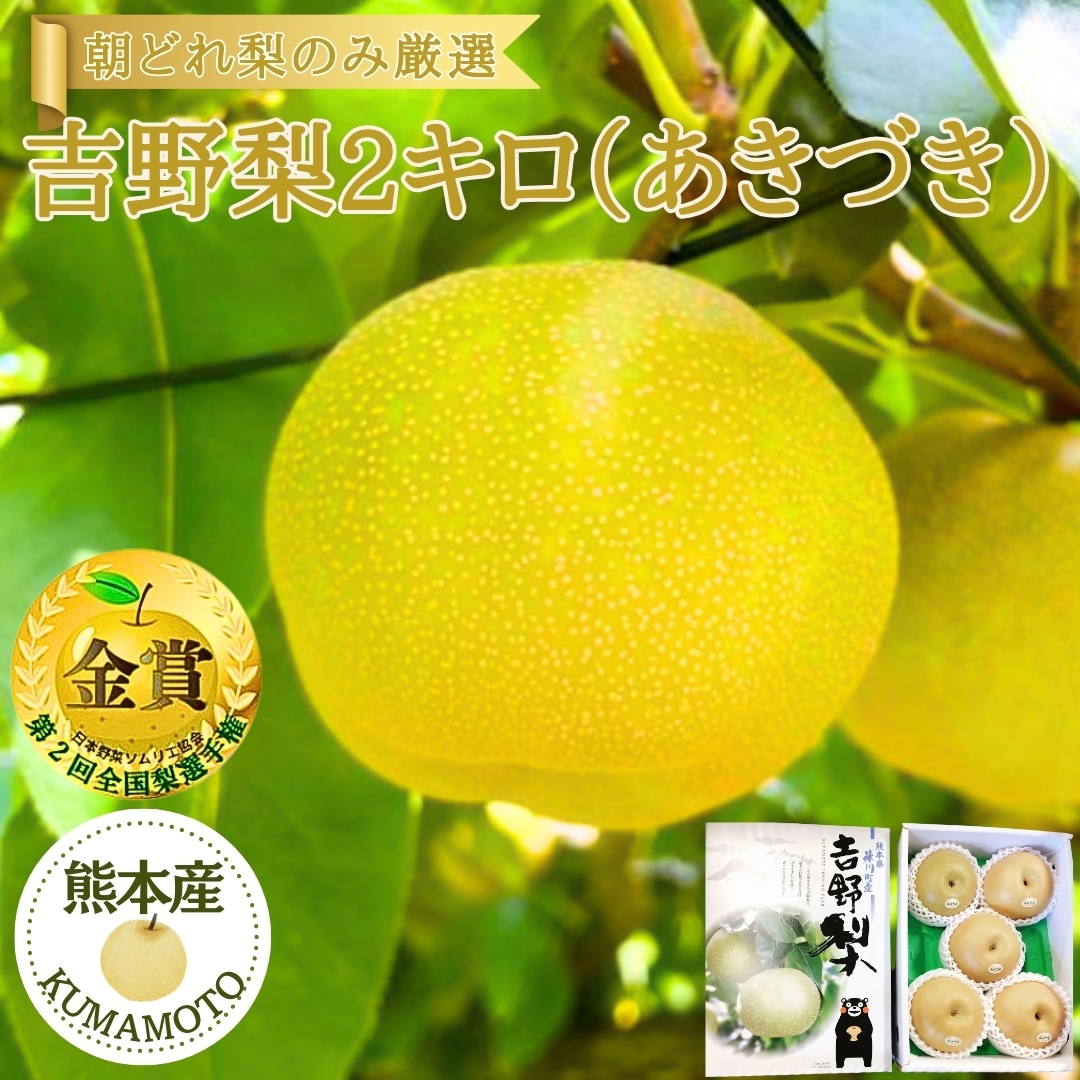 吉野梨2㎏（あきづき） FRUITSGARDEN虹色