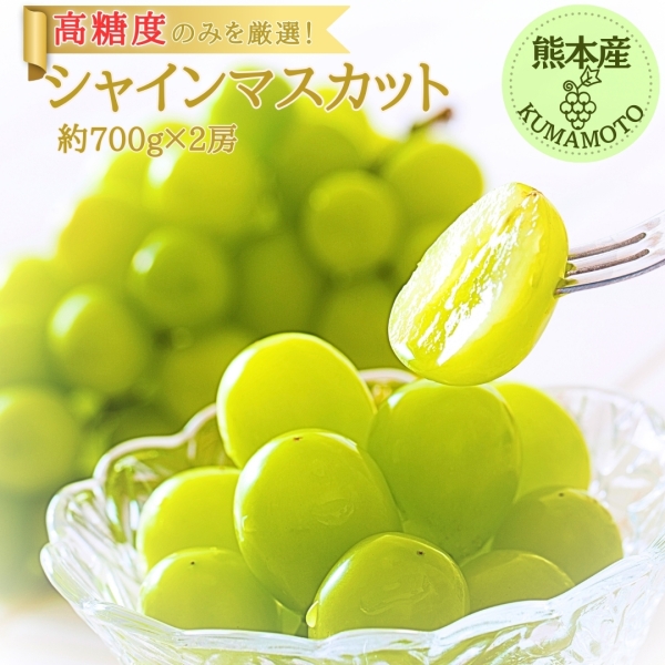 熊本県産シャインマスカット(約700g×2房）　