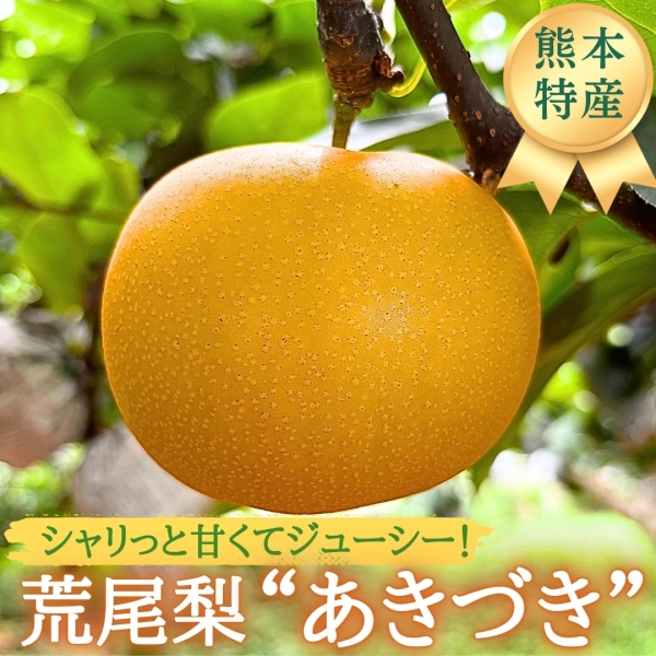 荒尾梨（あきづき）3.5kg