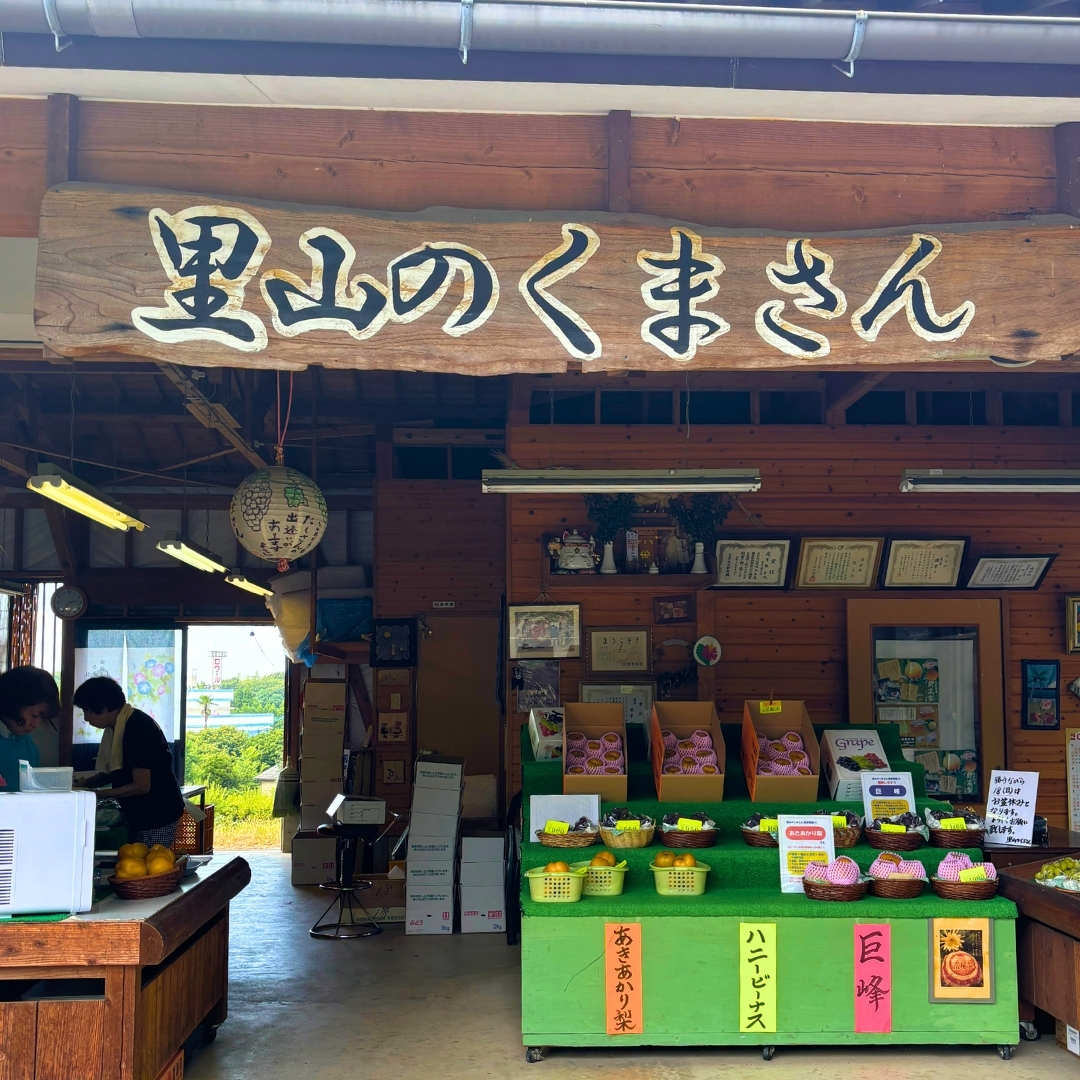 里山のくまさん
