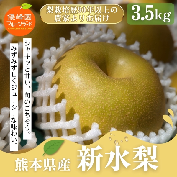 熊本県産新水梨3.5㎏