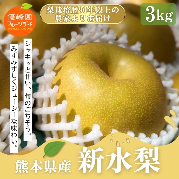 熊本県産新水梨3㎏