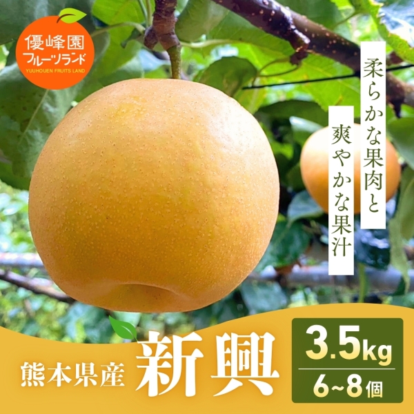 熊本県産 新興梨 3.5kg