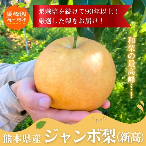 熊本県産 ジャンボ梨（新高）3.5kg