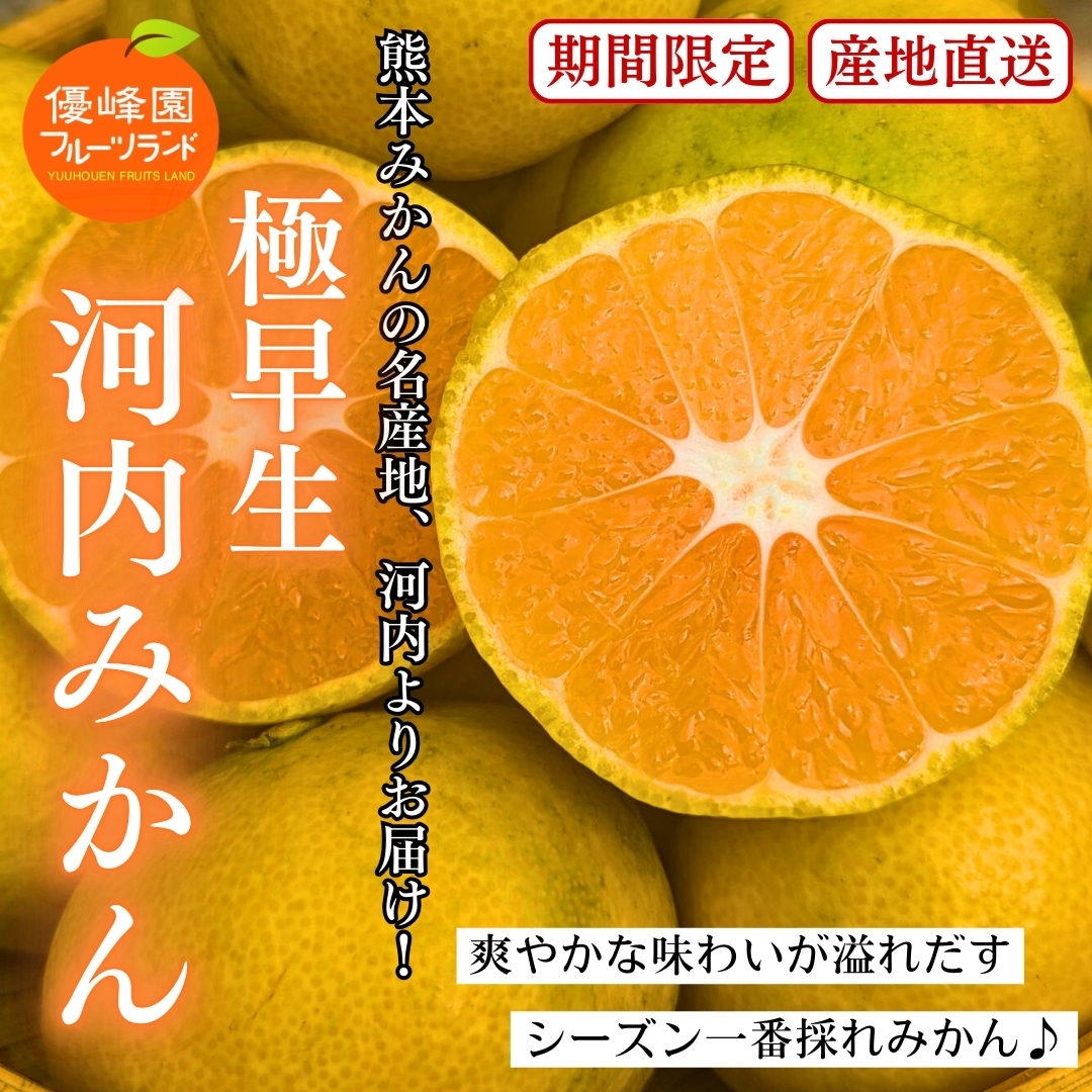 ミカンページ ご家庭用】熊本県産＜極早生＞河内みかん3kg/5kg 優峰園フルーツランド