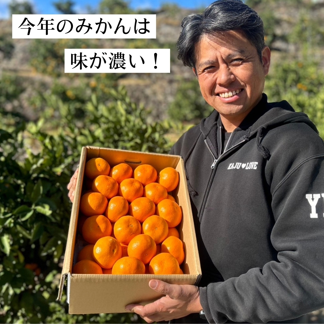 熊本県産＜早生＞河内みかん3kg/5kg 優峰園フルーツランド