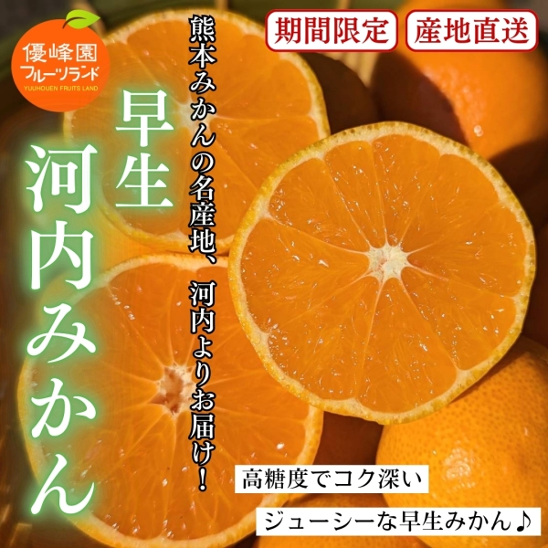 【ご家庭用】熊本県産＜早生＞河内みかん3kg/5kg