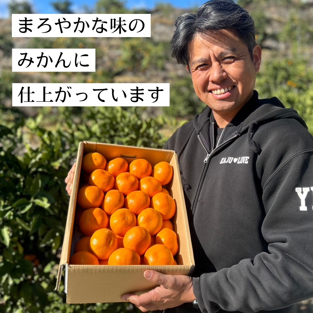 熊本県産河内みかん3kg/5kg 優峰園フルーツランド