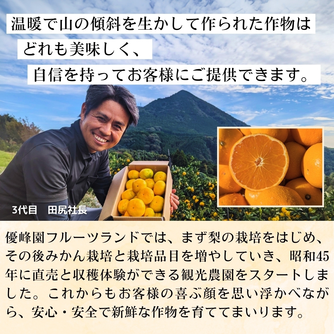 熊本県産河内みかん3kg/5kg 優峰園フルーツランド