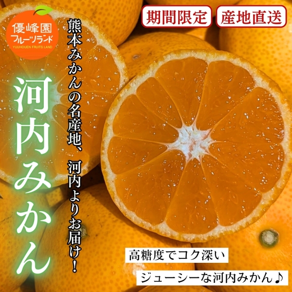 【ご家庭用】熊本県産河内みかん3kg/5kg