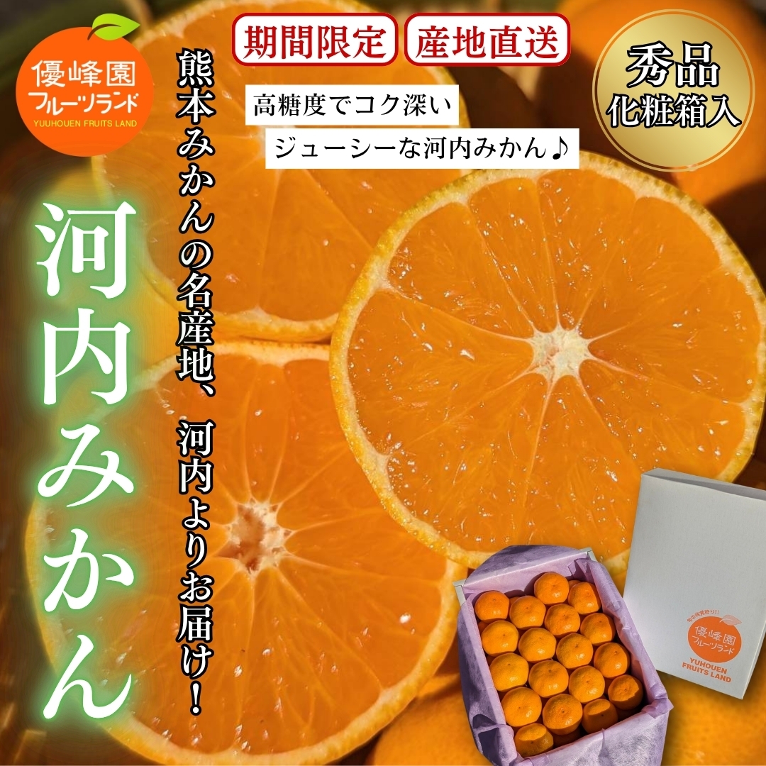 贈答用】熊本県産河内みかん3.5㎏（秀品・化粧箱入） 優峰園フルーツランド