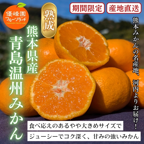 熊本県産青島温州みかん 3kg/5kg
