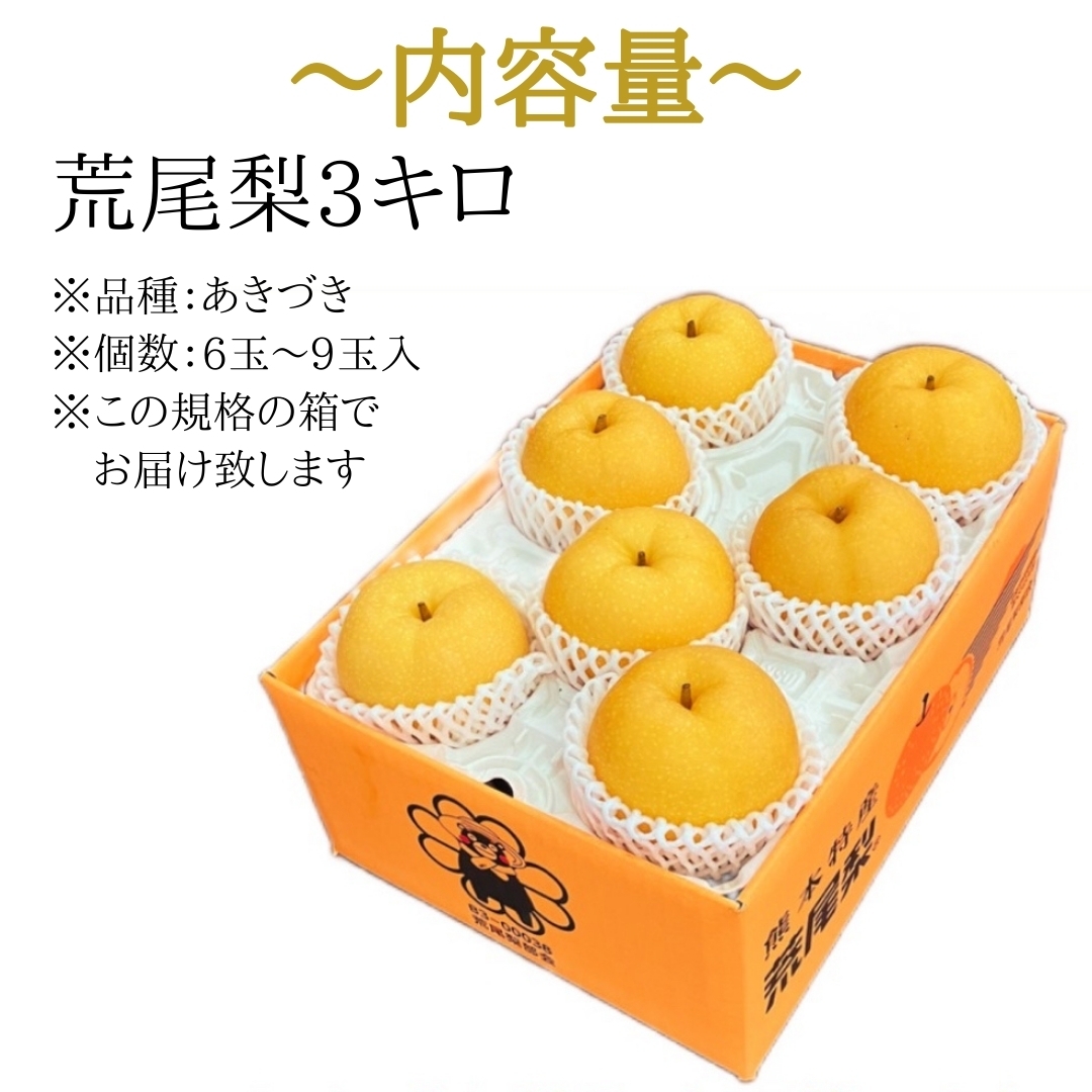 熊本県産 荒尾梨（あきづき 秀品） 鶴田農園