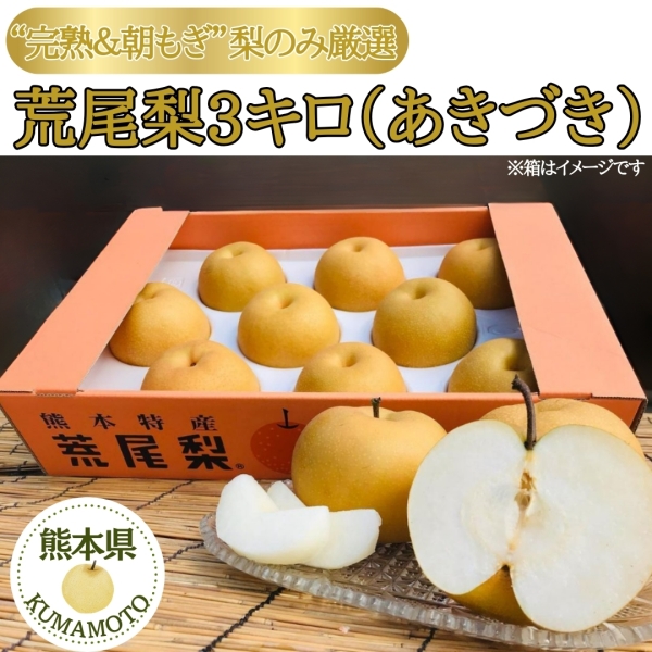 熊本県産　荒尾梨（あきづき　秀品）