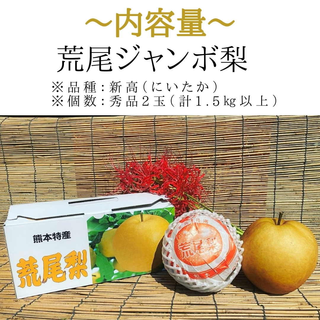 熊本県産 荒尾ジャンボ梨（新高梨/秀品2玉） 鶴田農園