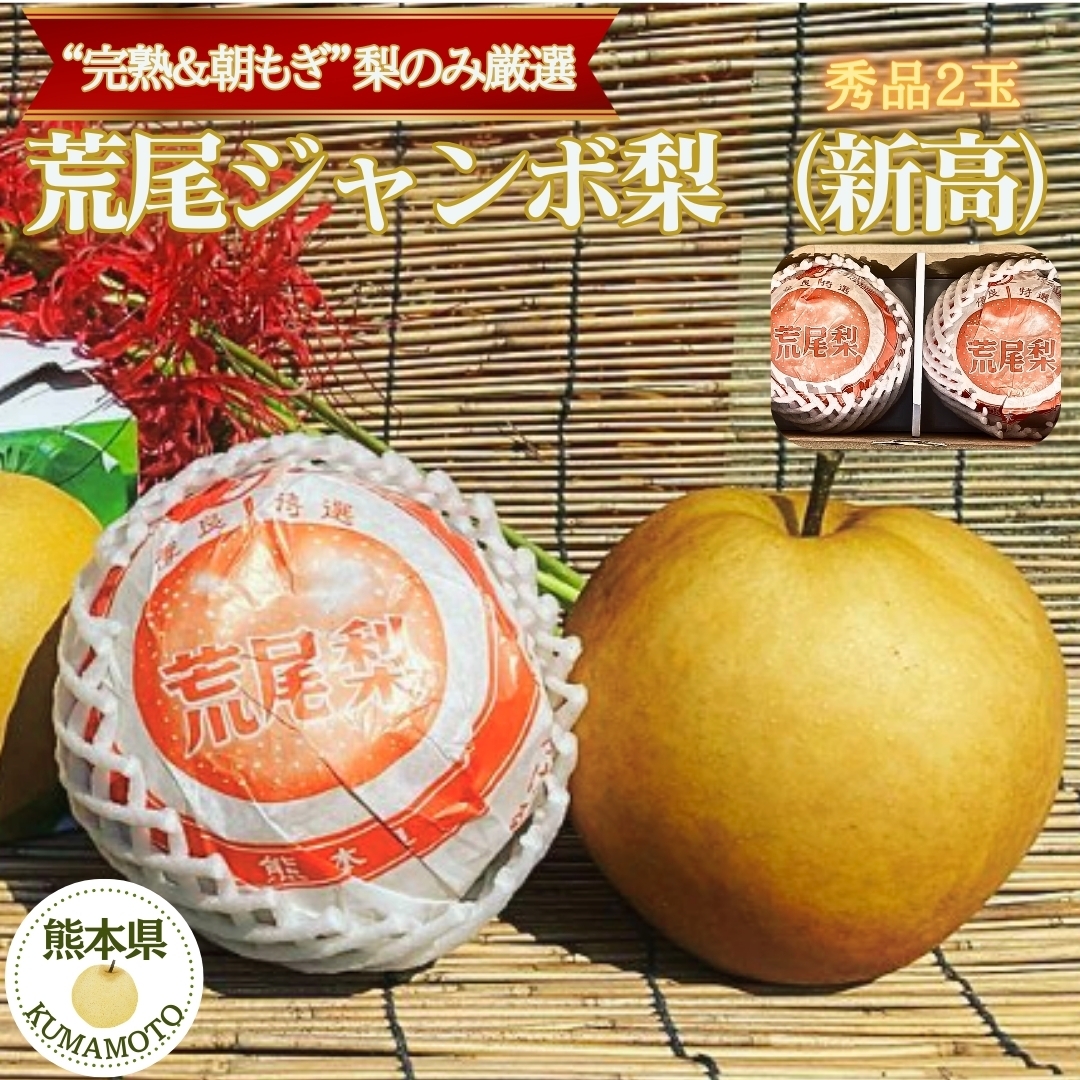 熊本県産 荒尾ジャンボ梨（新高梨/秀品2玉） 鶴田農園