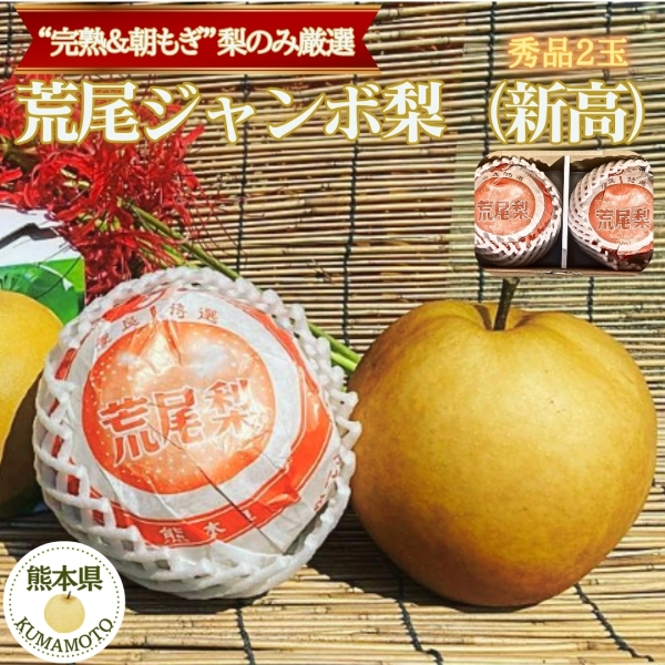 熊本県産　荒尾ジャンボ梨（新高梨/秀品2玉）