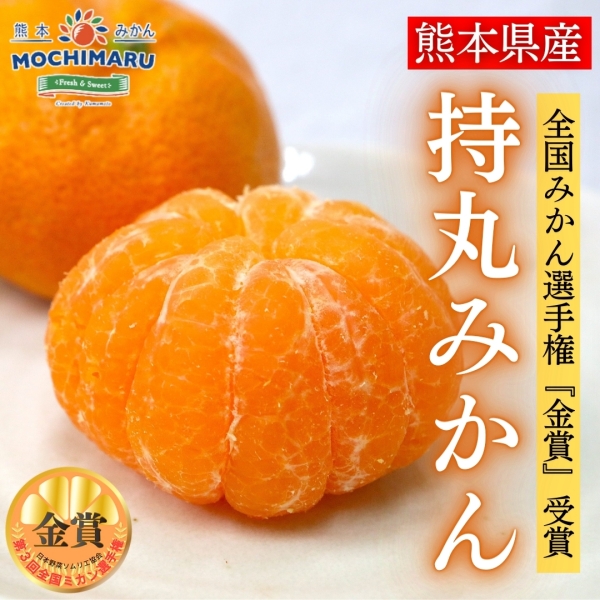 【金賞受賞】持丸みかん
